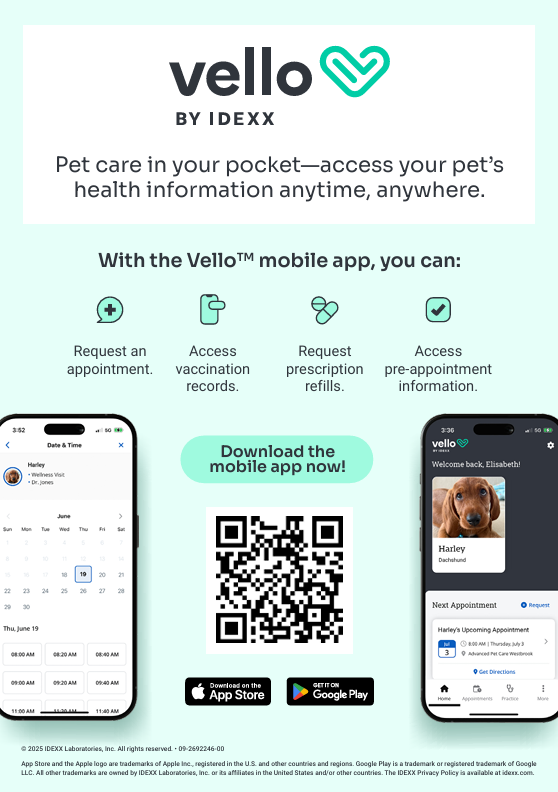 Vello Informational Flyer
